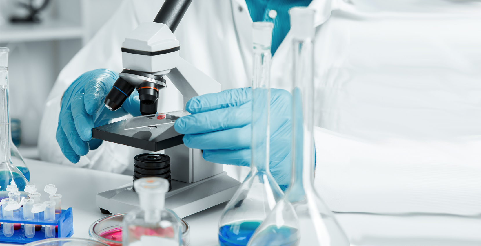 Histology Associates